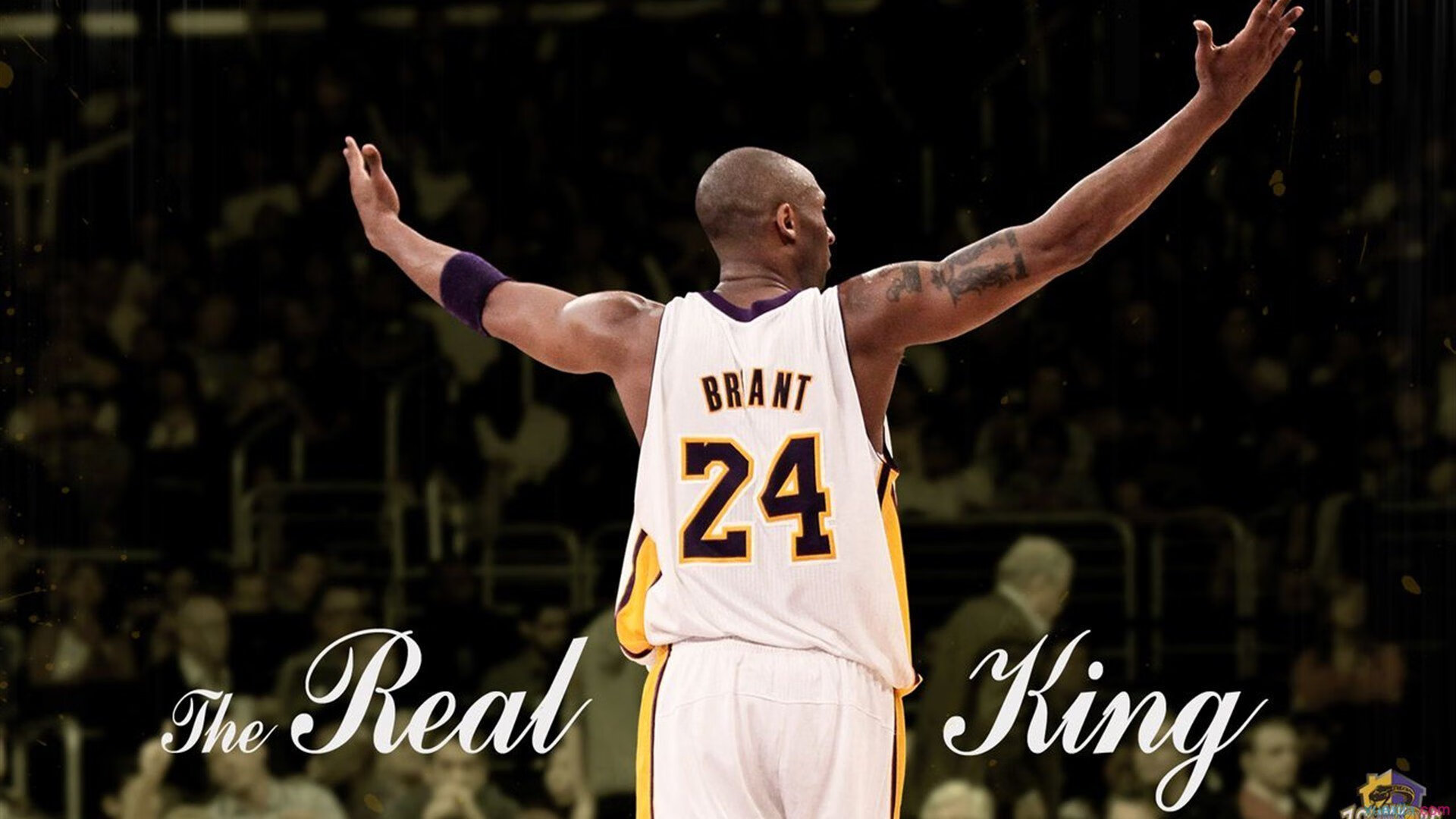 开云中国官网-勇士战胜开拓者，威金斯表现抢眼，威金斯 勇士 交易