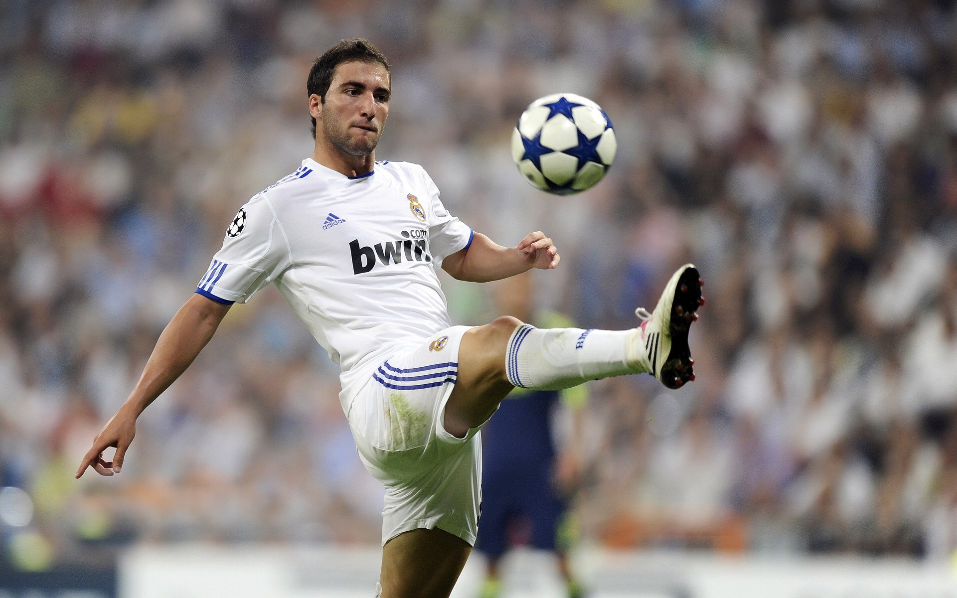 开云平台-拜仁横扫法兰克福，德甲霸主再度展现统治力，德甲拜仁对法兰克福